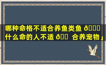 哪种命格不适合养鱼类鱼 🕊 「什么命的人不适 🐠 合养宠物」